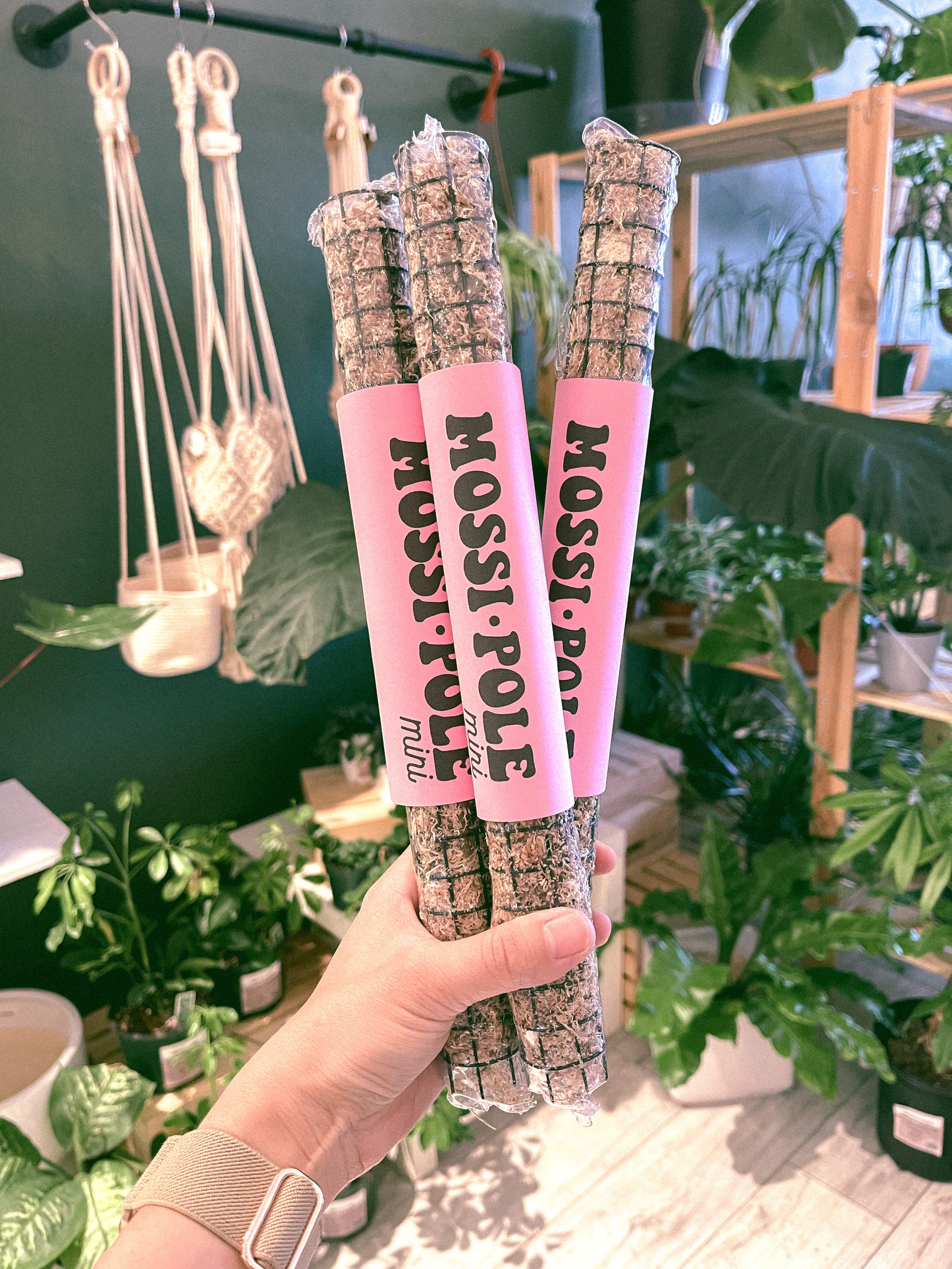 Mossi-Pole | The Lush Studio | Plant Shop