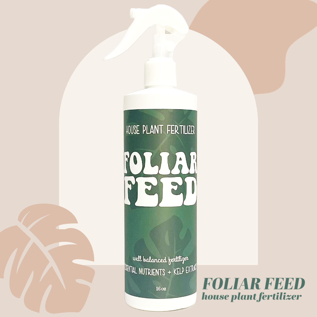 Foliar Feed The Lush Studio Plant Shop